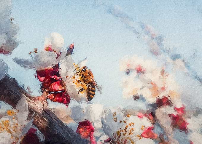 honey bee painting