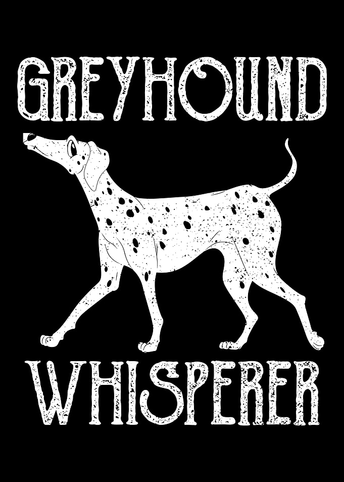 Greyhound Wisperer