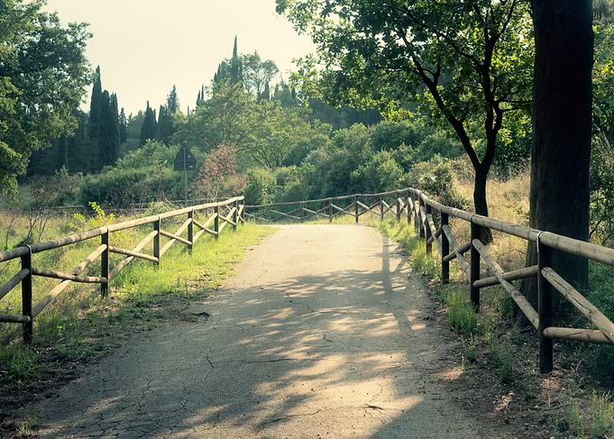 Nature path day solitude