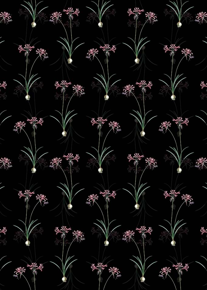 Floral Nerine Pattern