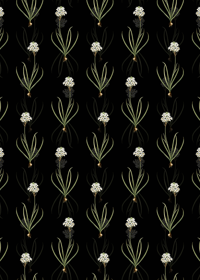 Arabian Starflower Pattern