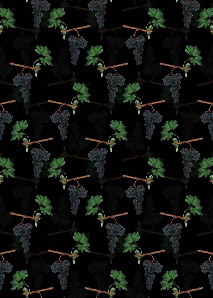 Dolcetto Grapes Pattern