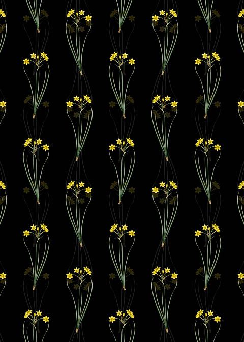 Rush Daffodil Pattern