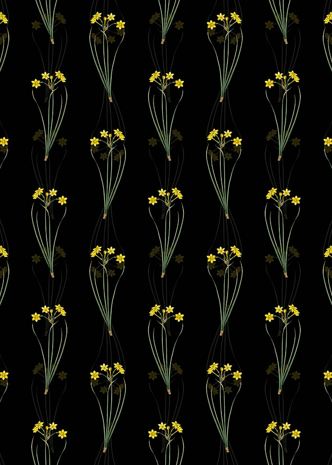 Rush Daffodil Pattern
