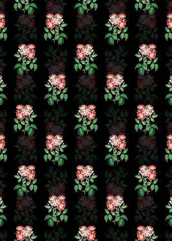 Rose Clare Flower Pattern