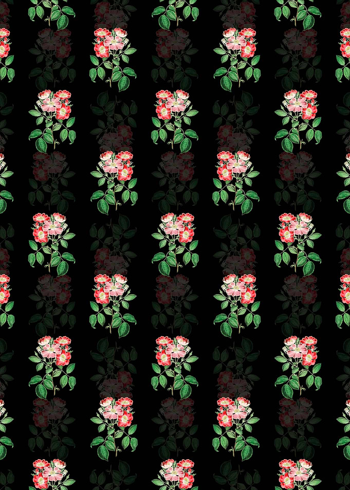 Rose Clare Flower Pattern