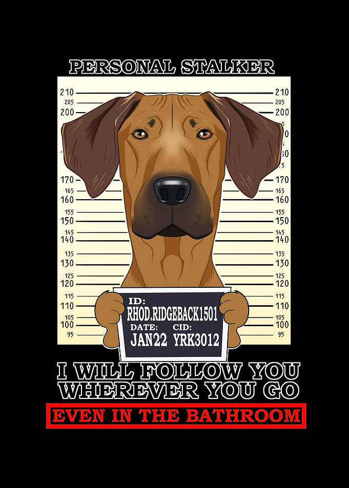 Rhodesian Ridgeback