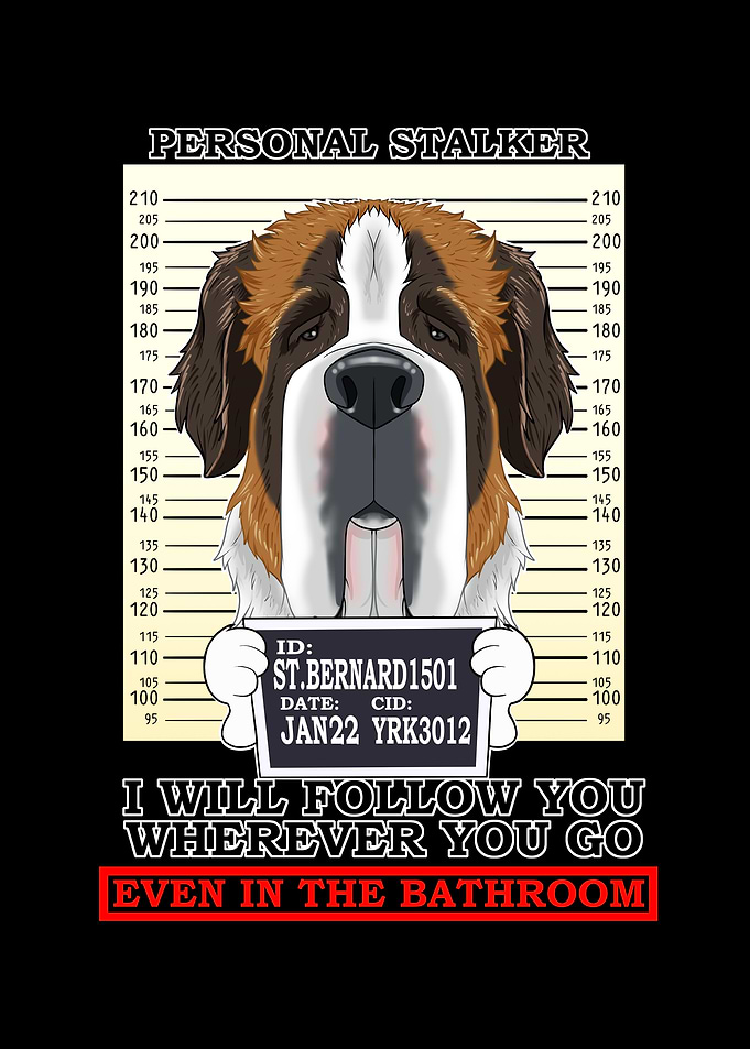 Saint Bernard Stalker