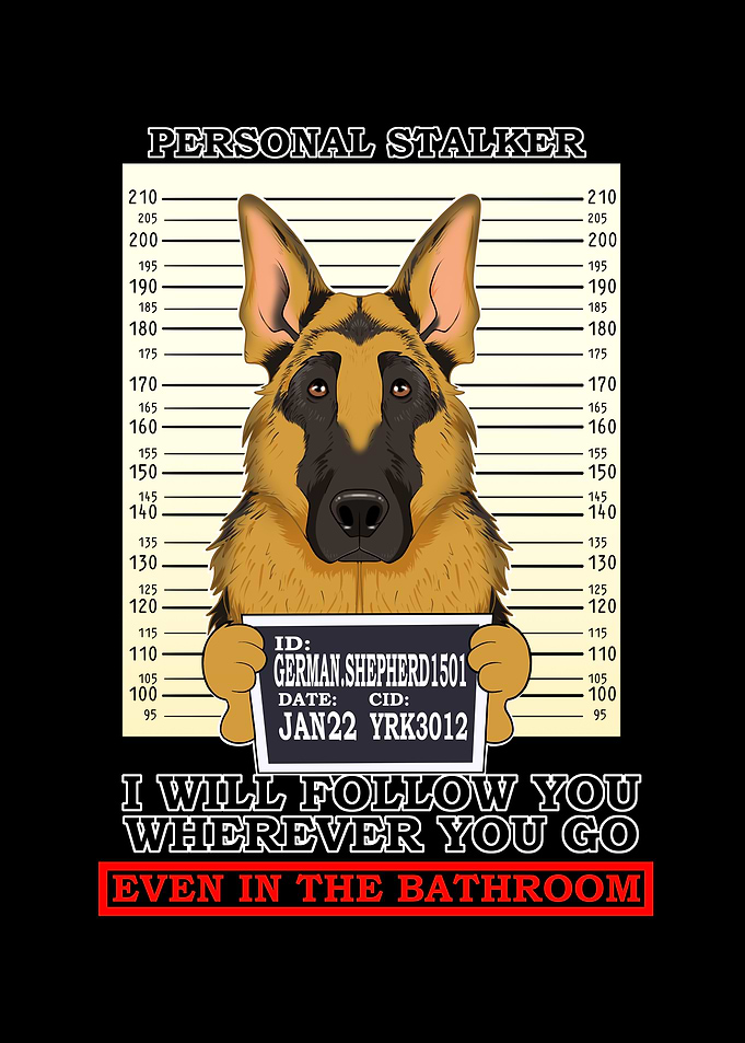 German Shepherd Stalker