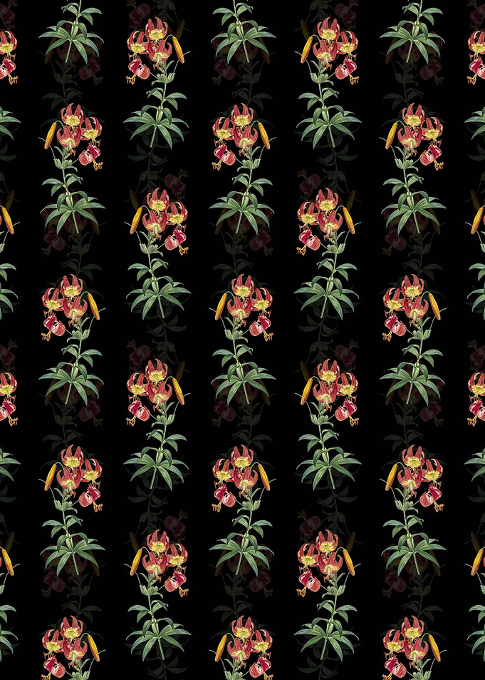 Floral Turban Lily Pattern
