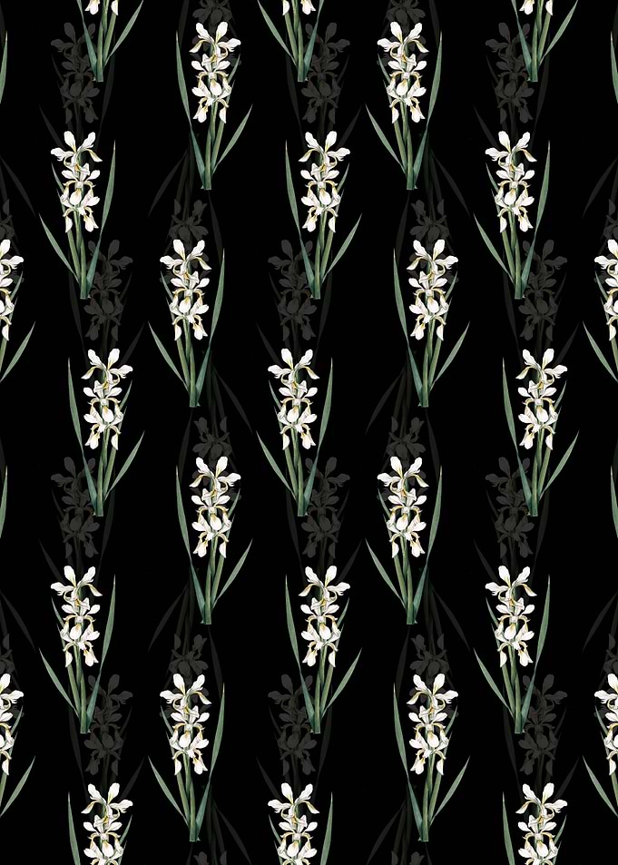 Yellow Banded Iris Pattern