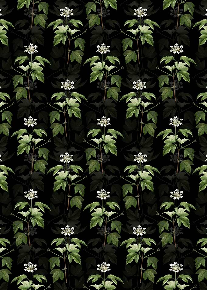 Black Guelder Rose Pattern