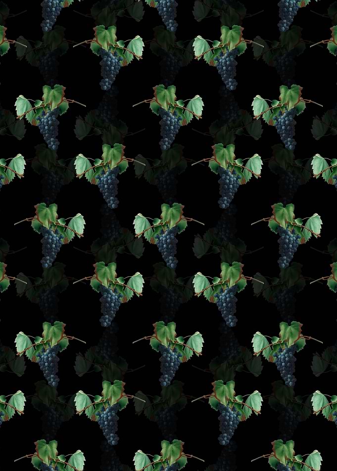 Floral Grape Vine Pattern
