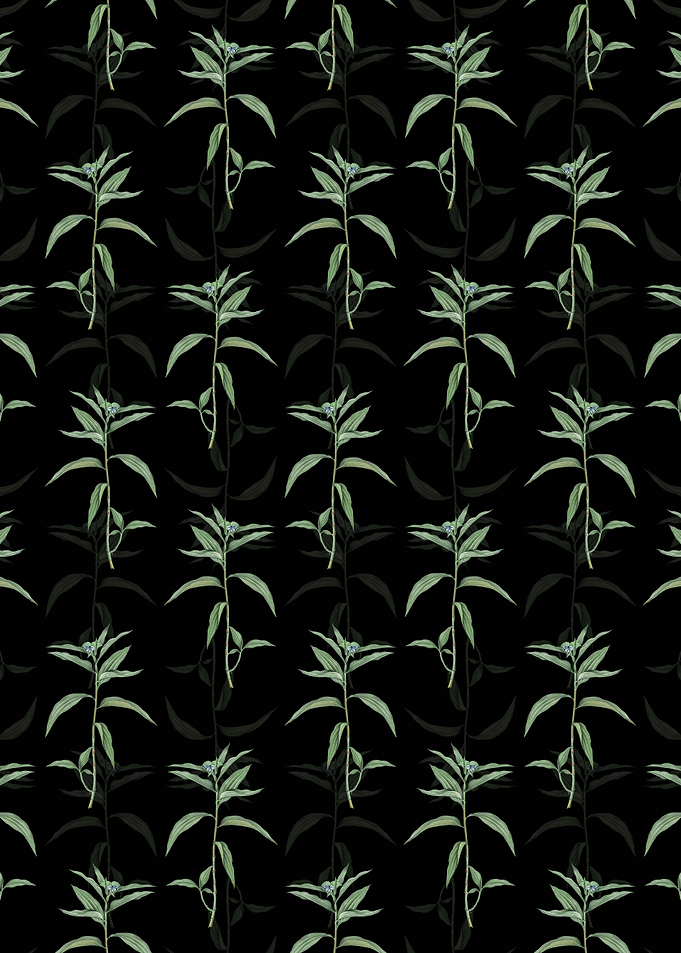 Floral Dayflower Pattern