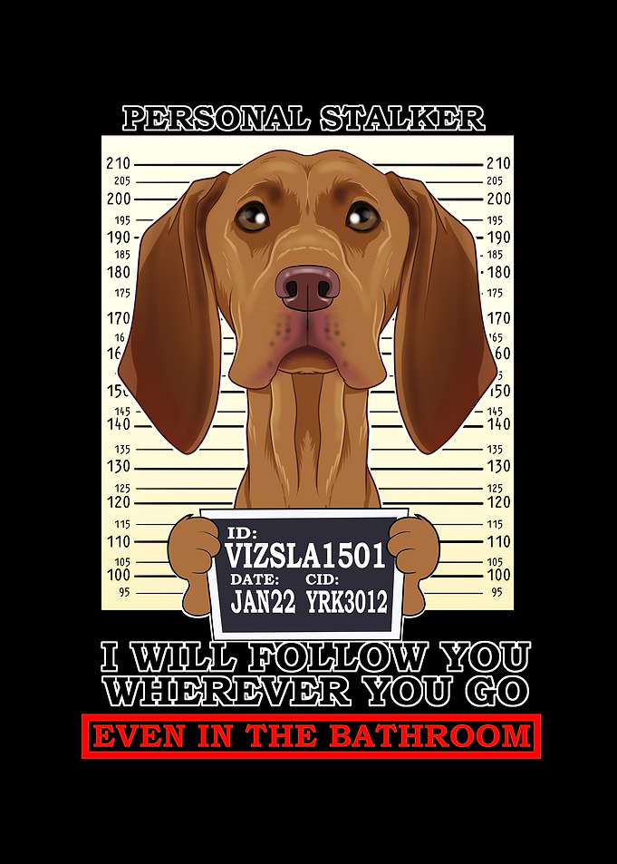 Vizsla Personal Stalker