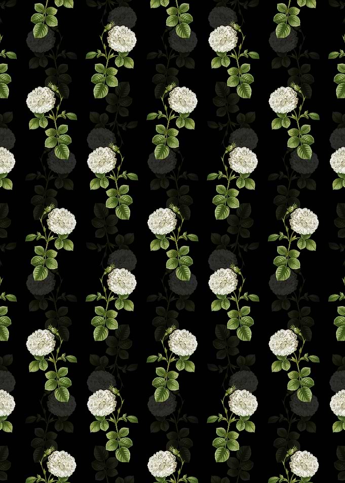 White Rose of York Pattern