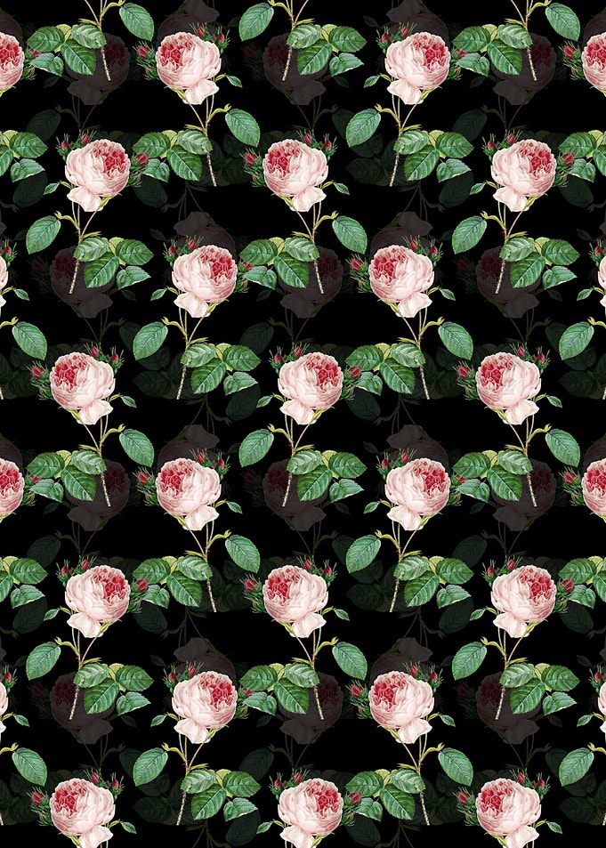 Centifolia Roses Pattern