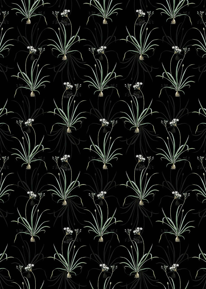Allium Fragrans Pattern