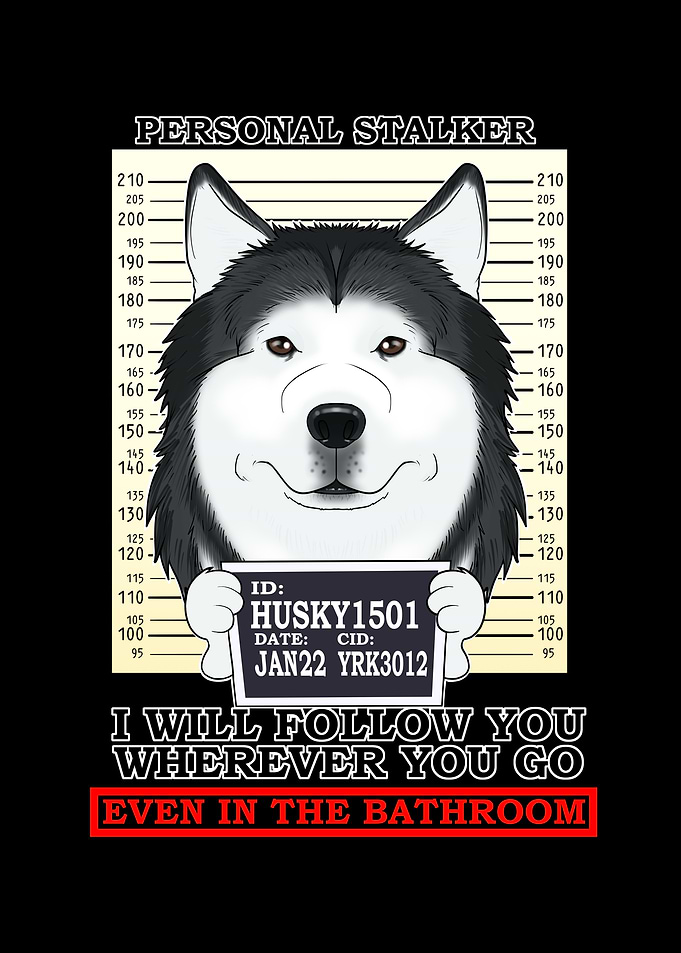 Husky Personal Stalker
