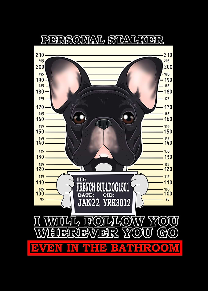 French Bulldog Stalker