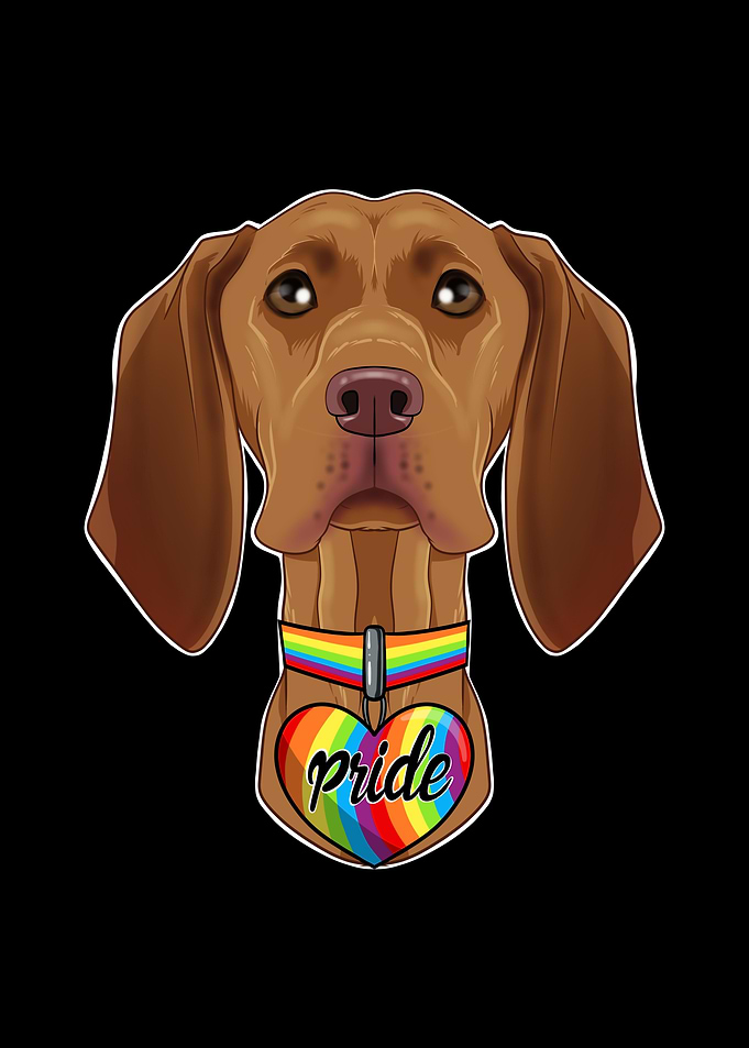 Vizsla LGBTQ Flag I Gay