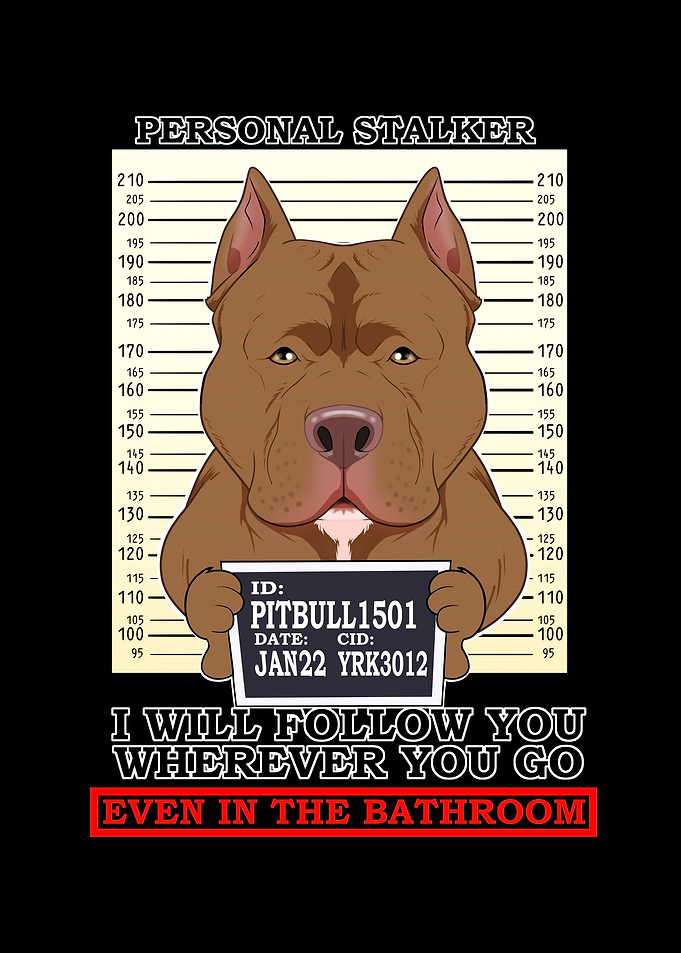 Pitbull Personal Stalker