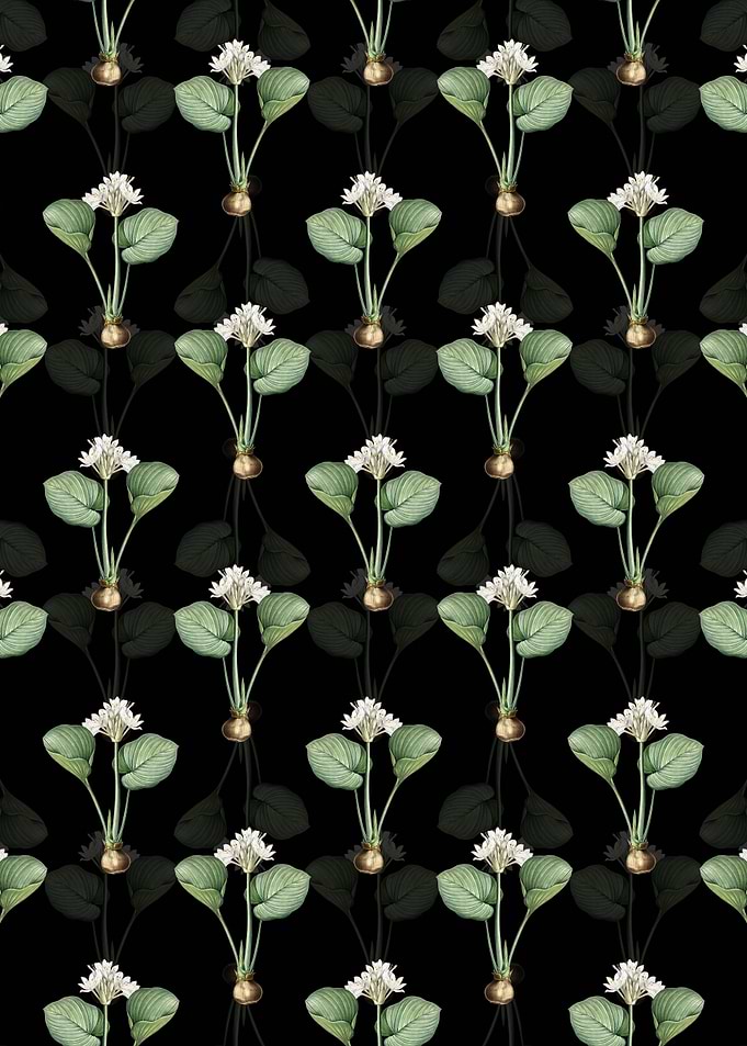 Cardwell Lily Pattern