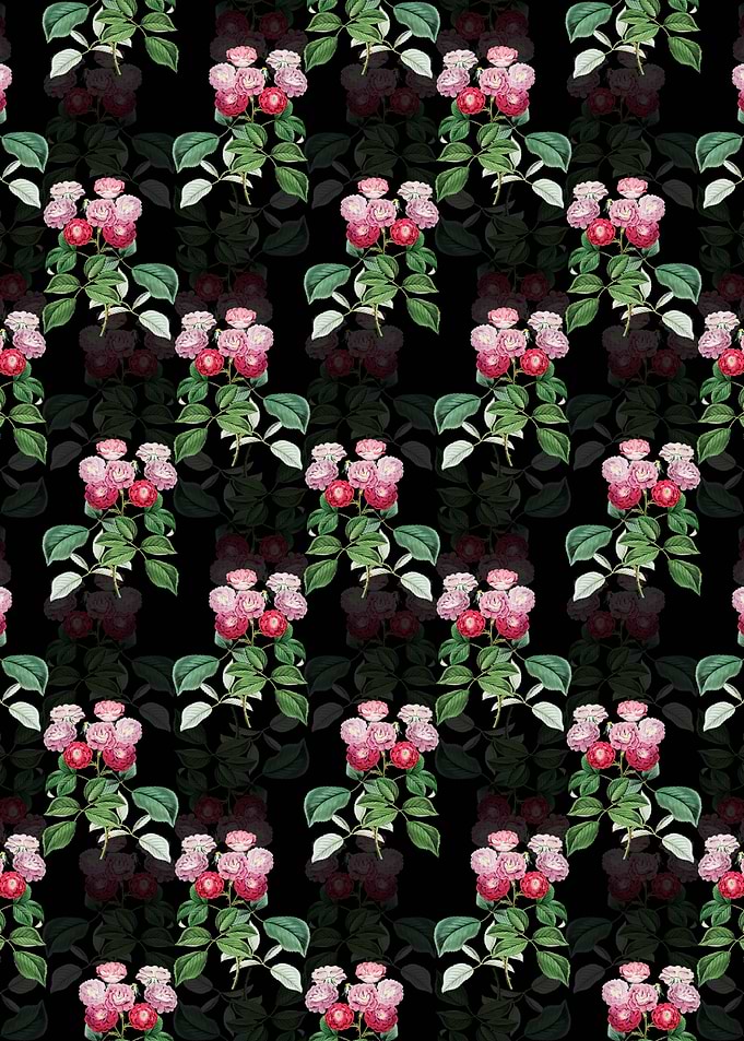 Seven Sisters Rose Pattern