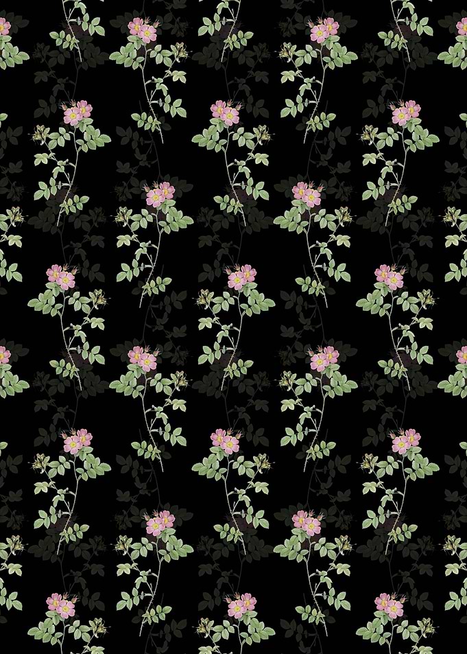 Pink Sweetbriar Roses