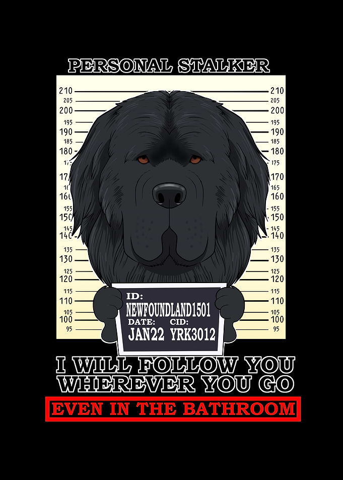 Newfoundland Stalker