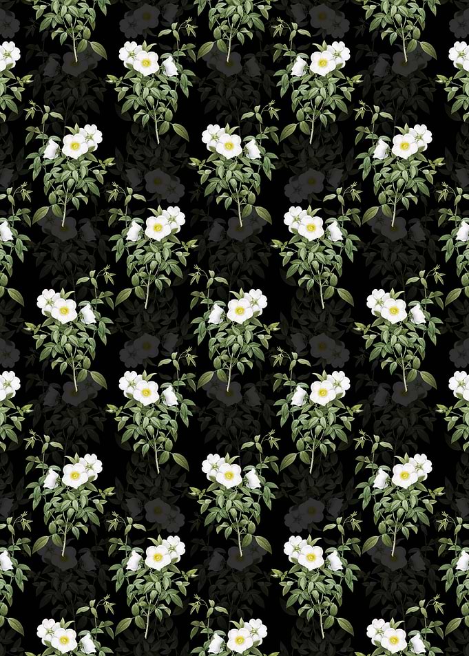 White Rose of Snow Pattern