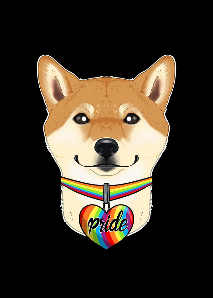 Shiba Inu LGBTQ Flag I Gay