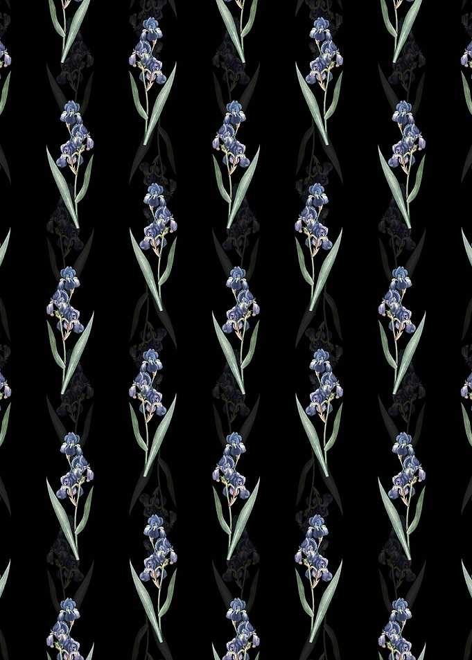 Dalmatian Iris Pattern