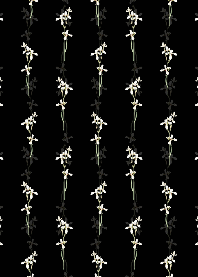 Siberian Iris Pattern
