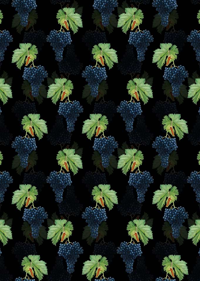 Fuella Grapes Pattern