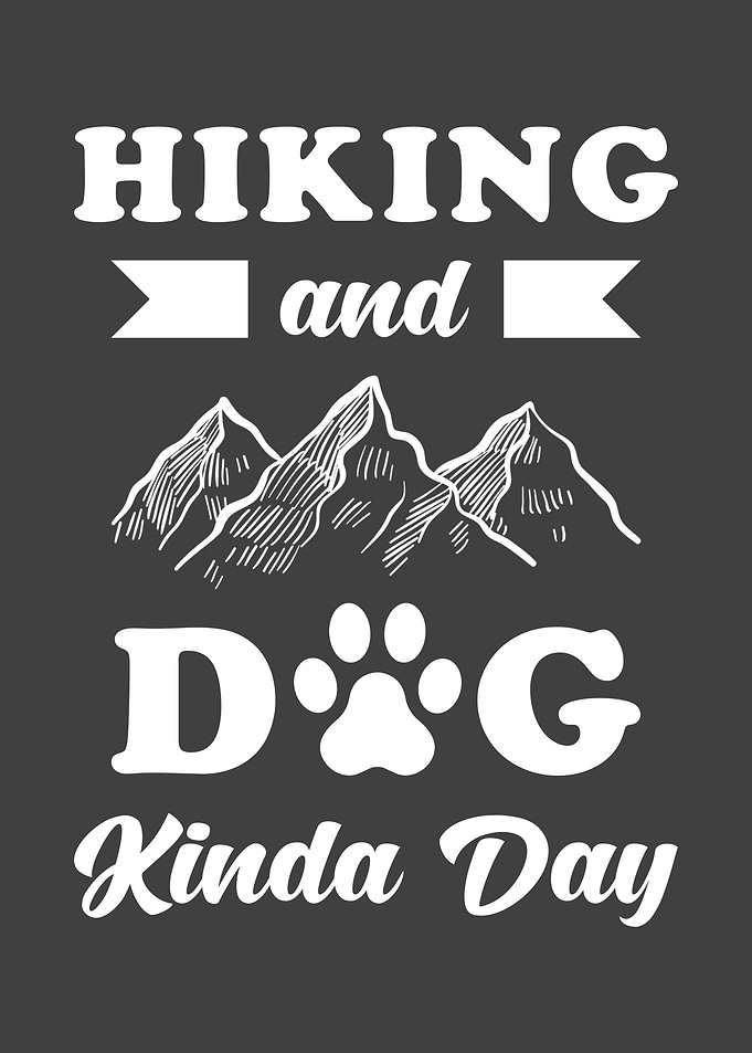 Hiking and Dog