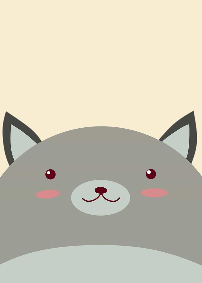 animals
