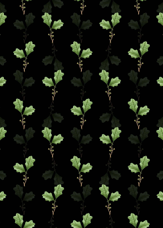 Bear Oak Leaves Pattern