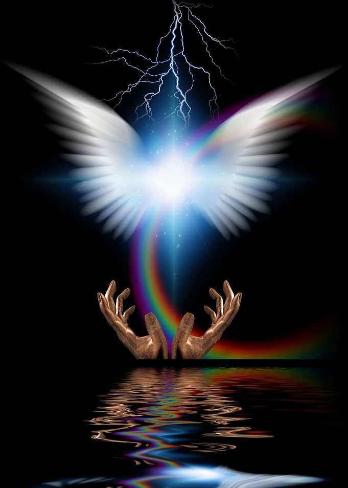 White wings