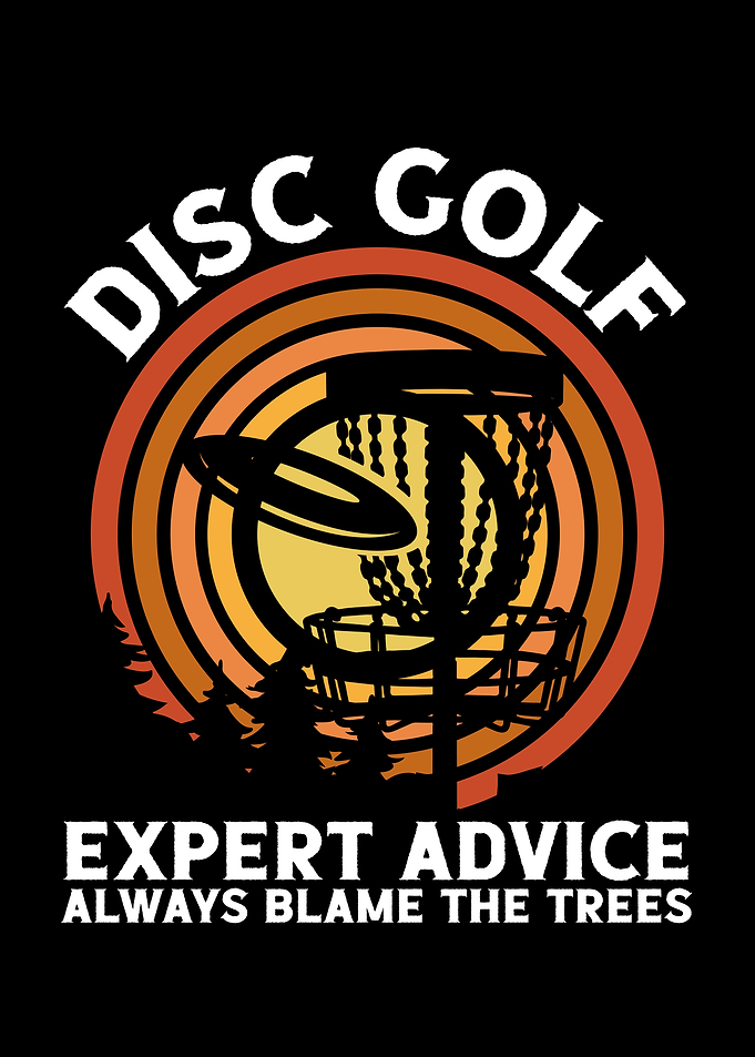 Disc golf expert
