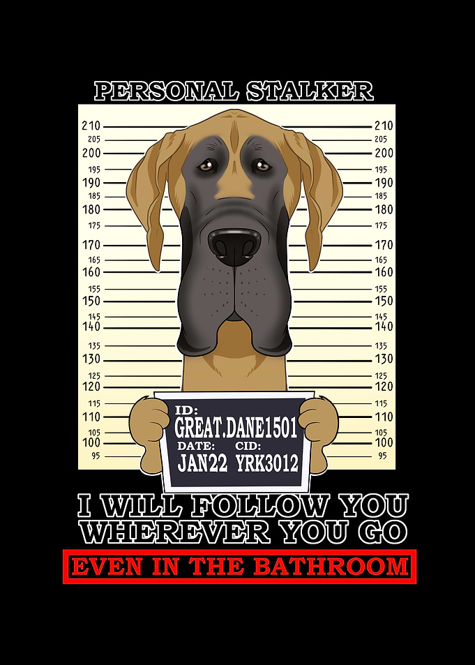 Great Dane Stalker