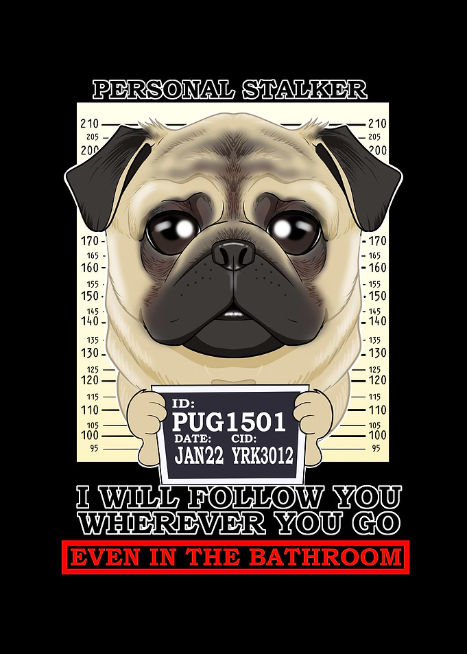 Pug Personal Stalker