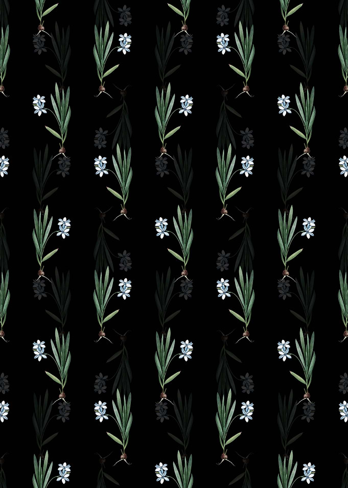 Gladiolus Plicatus Pattern