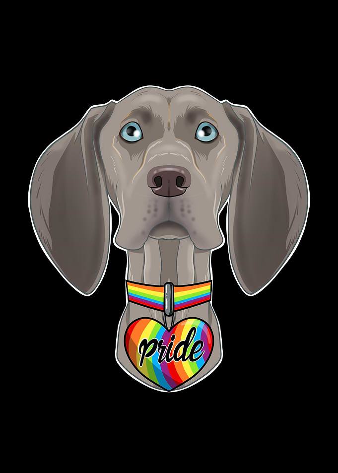 Weimaraner I LGBTQ Flag