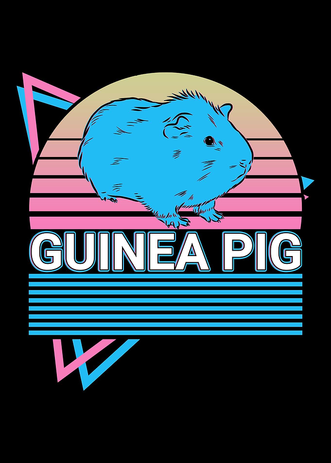 Guinea Pig Retro