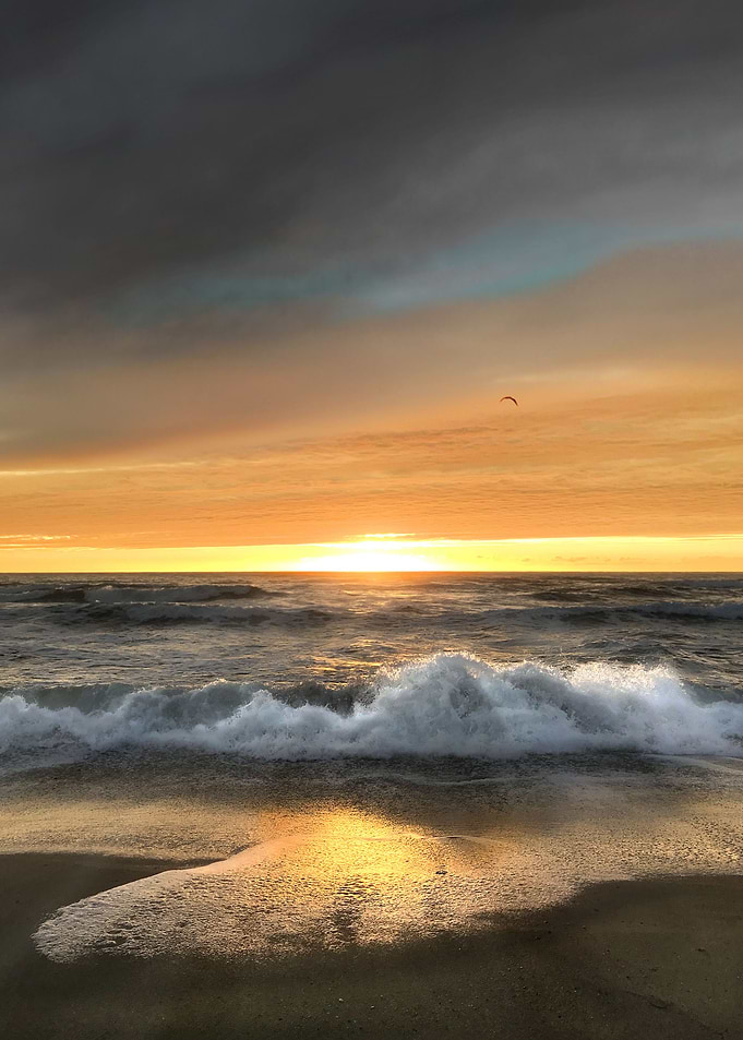 Sunset, Wave, Free Bird