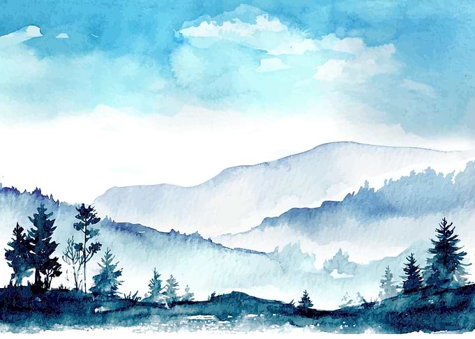 Summer Morning Meadow
