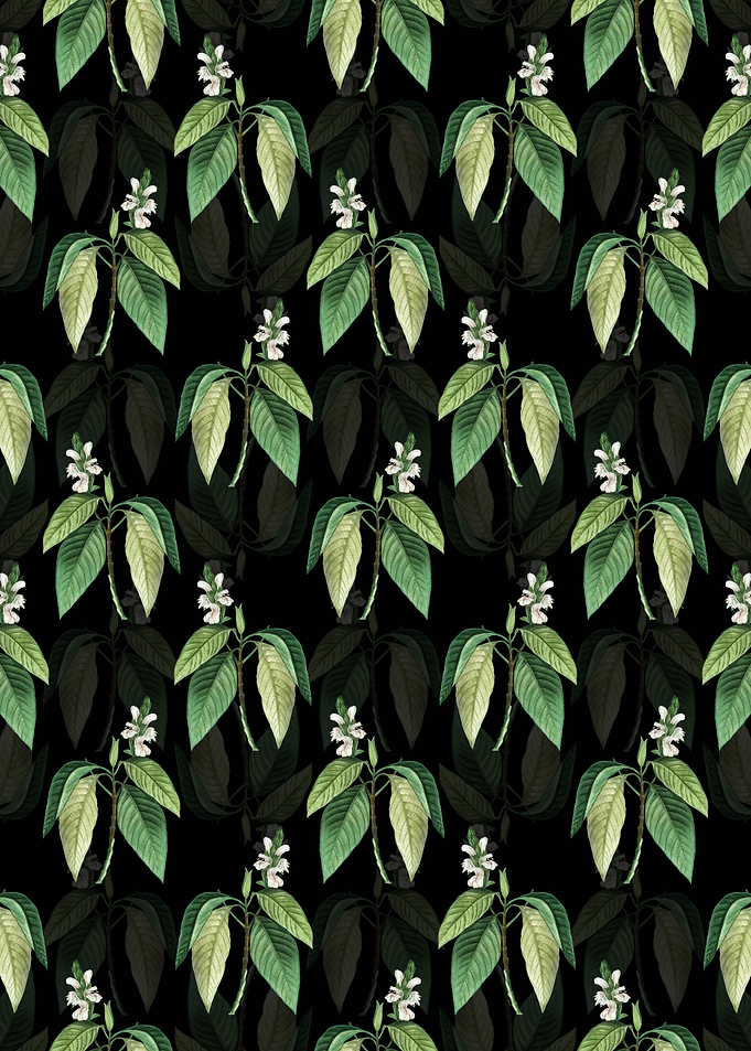 Floral Malabar Nut Pattern