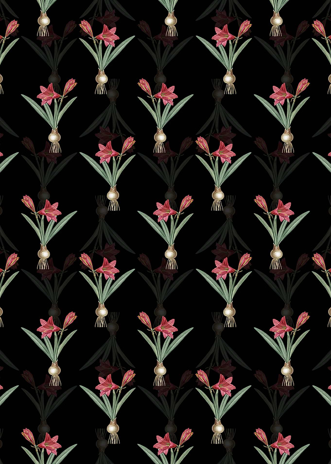 Floral Hippeastrum Pattern