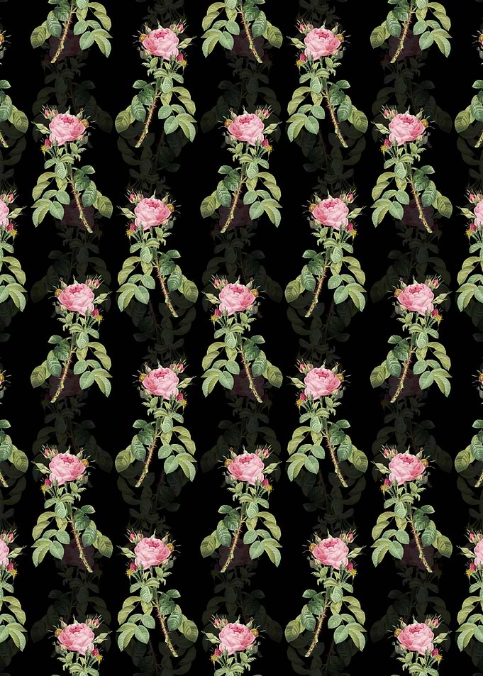 Lelieurs Four Seasons Rose